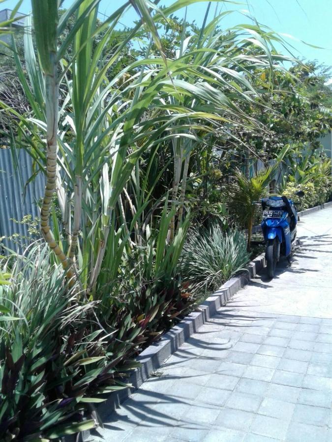 Kubu Green นูซาดูอา ภายนอก รูปภาพ
