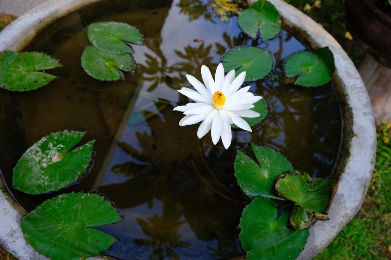 Kubu Green นูซาดูอา ภายนอก รูปภาพ