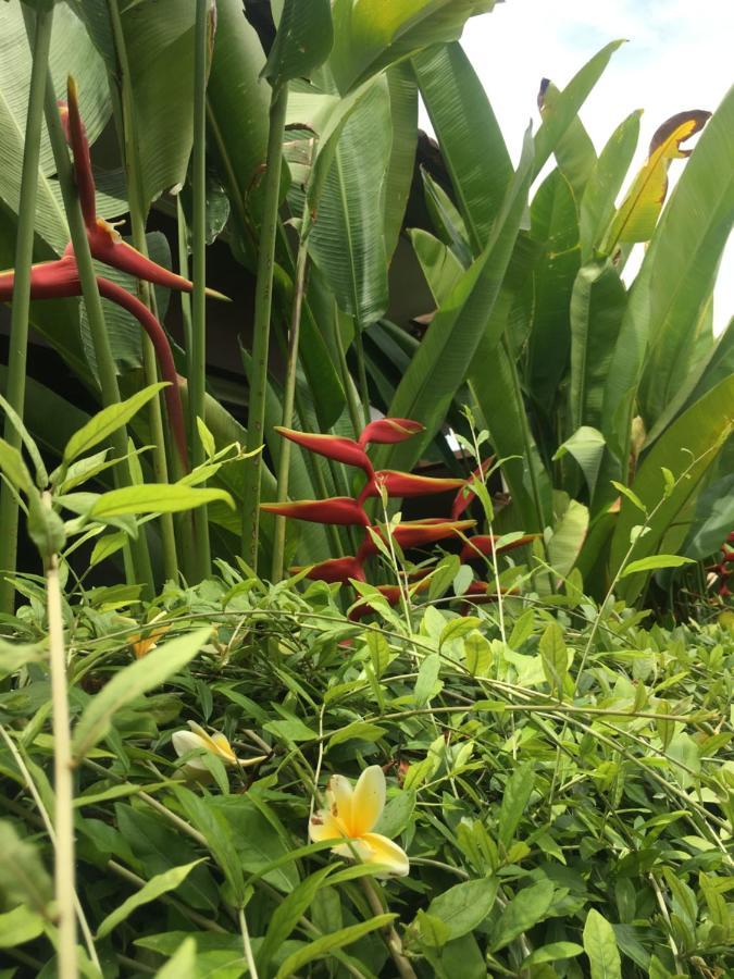 Kubu Green นูซาดูอา ภายนอก รูปภาพ